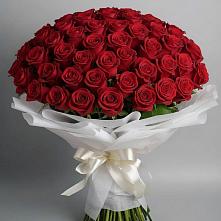 Букет 101 Красная роза Блэк Мэджик #REPLACE_PRED# Медвежьегорске