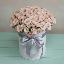 Цветочная композиция из Розы в шляпной коробке #REPLACE_PRED# Медвежьегорске