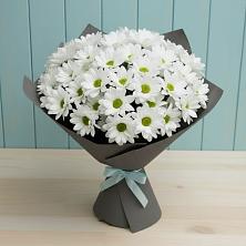 Букет цветов из:  Хризантемы в Медвежьегорске