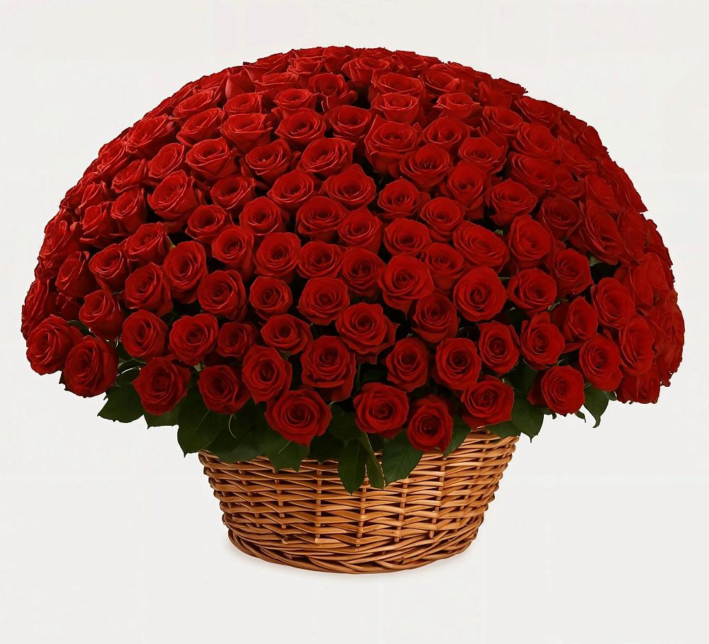 Премиум букет из: Розы в Медвежьегорске