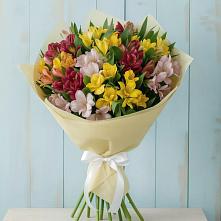 Букет цветов из:  Альстромерии в Медвежьегорске