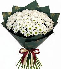 Букет цветов из:  Хризантемы #REPLACE_PRED# Медвежьегорске