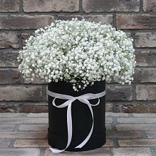 Цветочная композиция из Гипсофила в шляпной коробке в Медвежьегорске